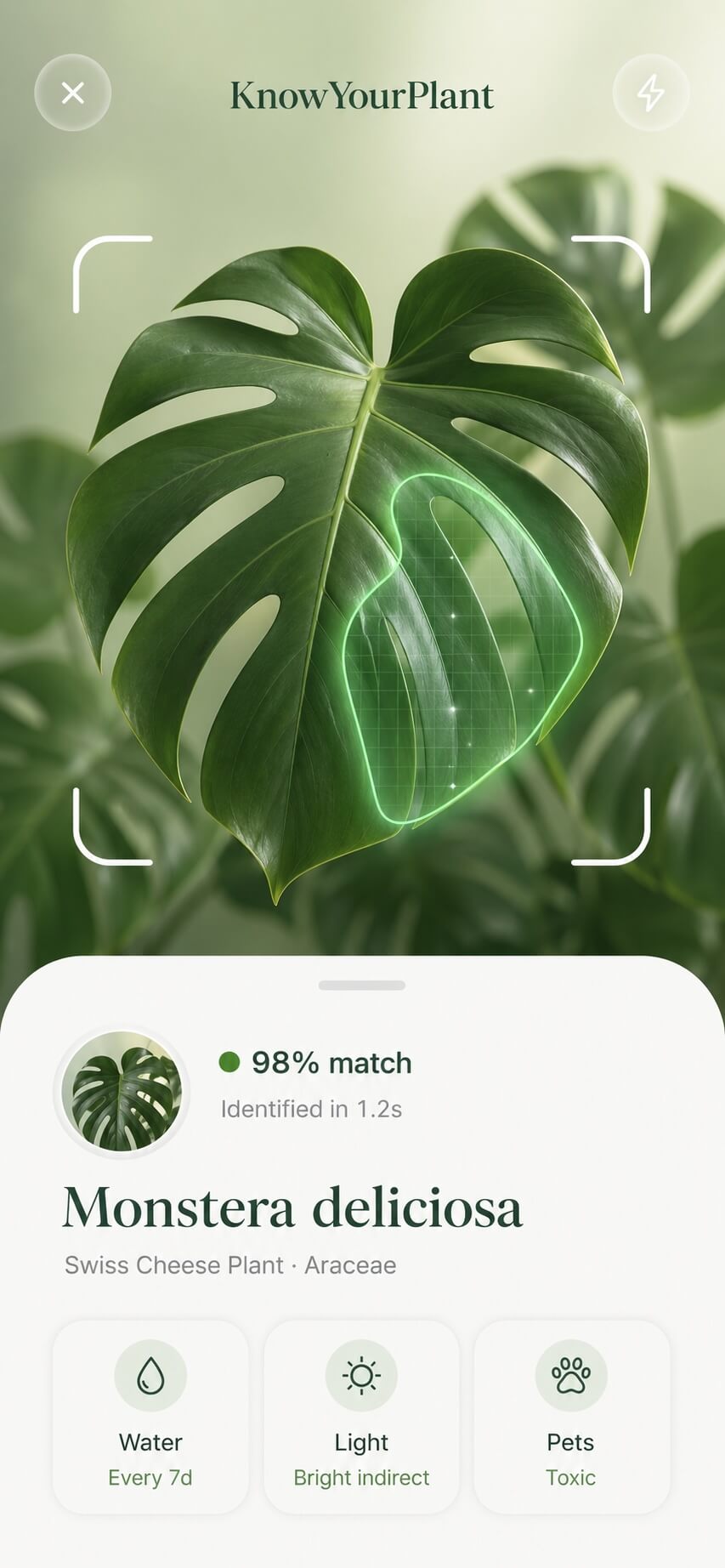 Identify screen